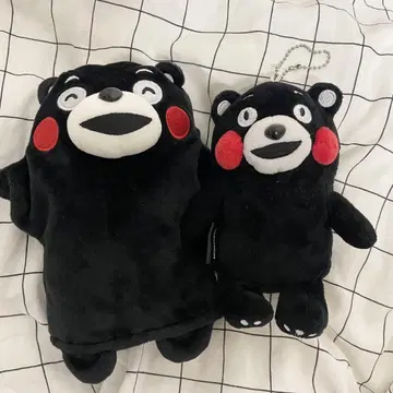 쿠마몬 세트