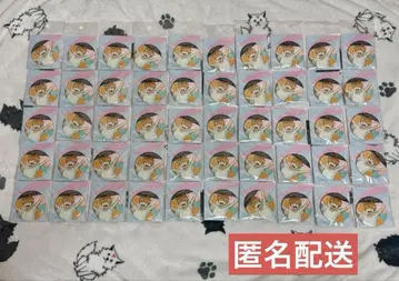 하이큐 TOHO animation FES Ver. TaF 히나타 쇼요