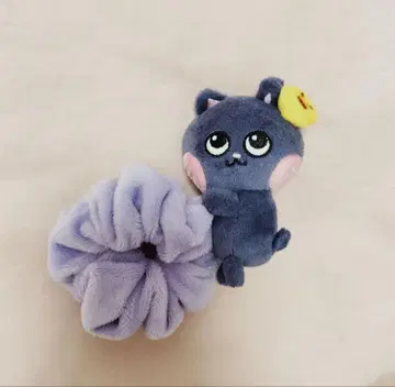 RIIZE 토냥덕 원빈 스크런치