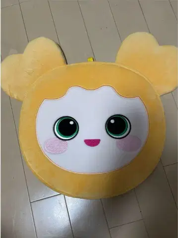 TWICE 부채 커버 지효