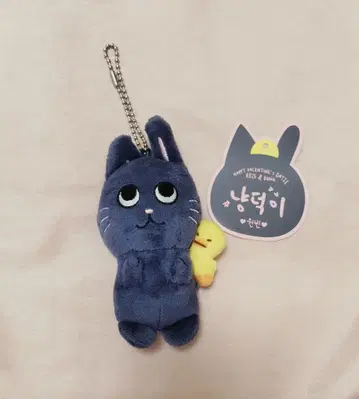 RIIZE 냥덕 원빈