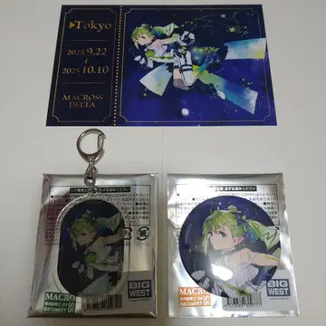 마크로스 초시공 은하 기행 MACROSS JOURNEY 레이나
