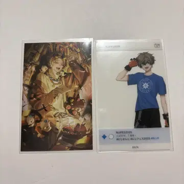 니지산지 EN 알반 녹스