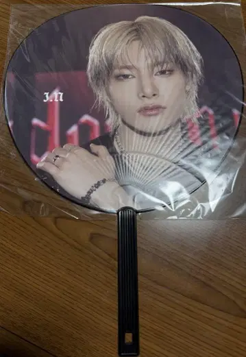 StrayKids World Tour dominATE 아이엔 부채