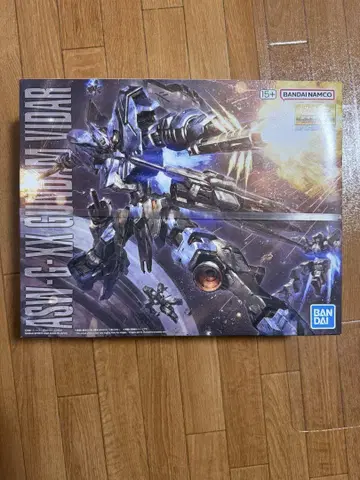 MG 1/100 건담 비다르