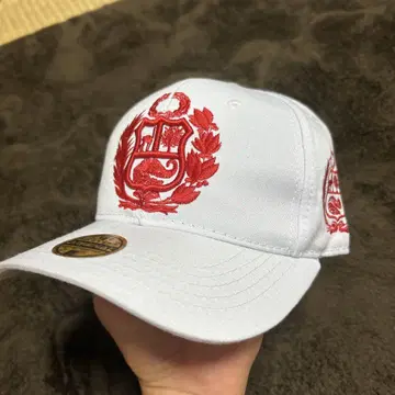 mitchell and ness 페루 국가 문장 야구 모자 골프