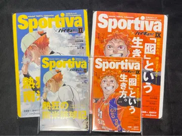 하이큐 소설판 비주얼 보드 크로니클 원작 히나타 쇼요