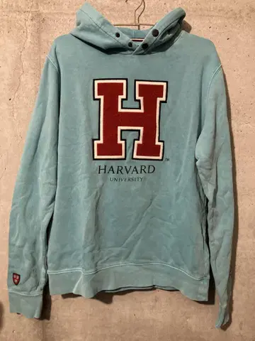 [ REPLAY ] TRIBUTE HARVARD 후드티