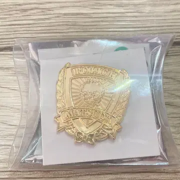 명탐정 코난 마츠다 진페이 경찰학교조 할로윈 선물 경찰 핀즈
