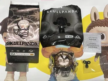 SKULLPANDA IMAGE OF REALITY 피규어