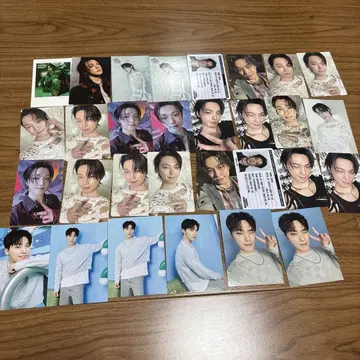 SEVENTEEN 세부치 트레이딩 카드 디노