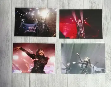 BABYMETAL 콜렉션 사진