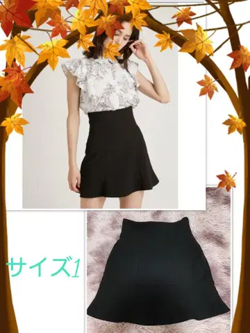 스나이델 하이웨스트 스카쇼 리젝시 다리치