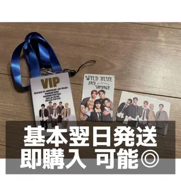 WILDBLUE 트레이딩 카드 2장 VIP 패스