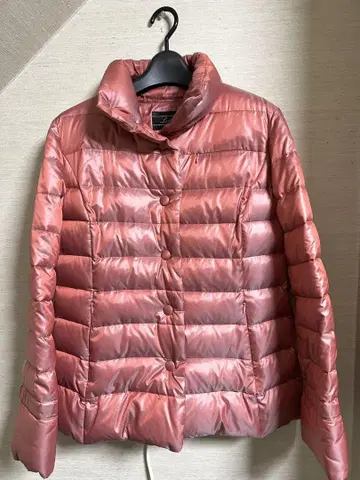 레리안 다운