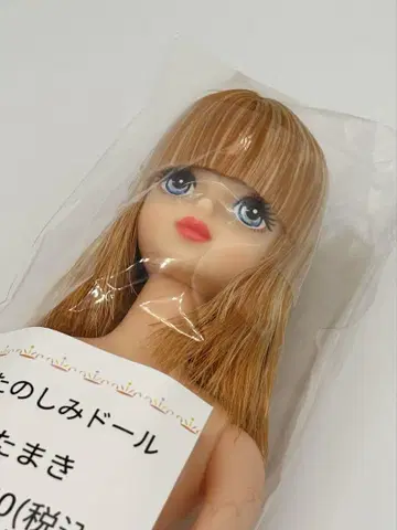 타마키 리카짱 캐슬 오타노시미 인형 블루 계열의 눈동자