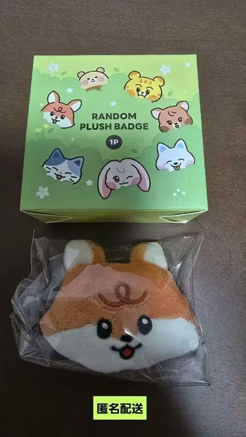 NCTDREAM LINE FRIENDS 랜덤 플러시 배지 런쥔