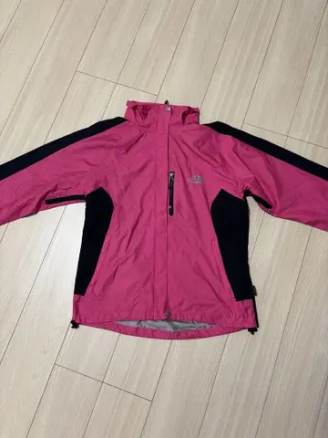 The North Face 핑크 마운틴 후드티