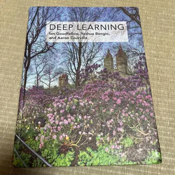 DEEP LEARNING Ian Goodfellow 저