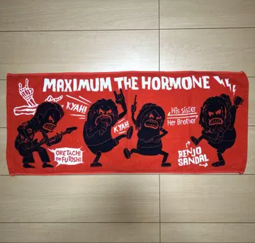 MAXIMUM THE HORMONE 타월