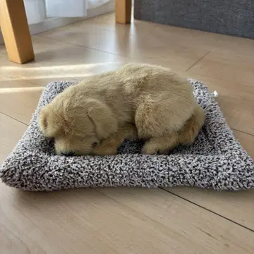 개 봉제 인형