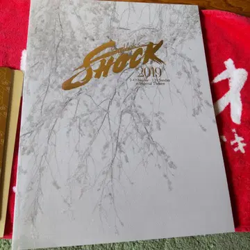 SHOCK 2019 팜플렛