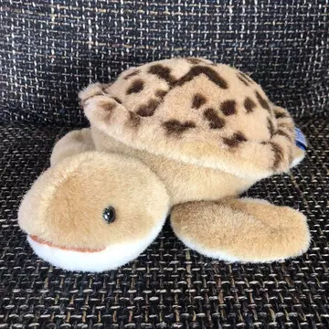 거북이 봉제 인형 어스윈드 세키구치