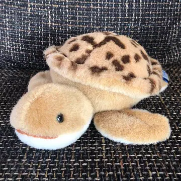 거북이 봉제 인형 어스윈드 세키구치