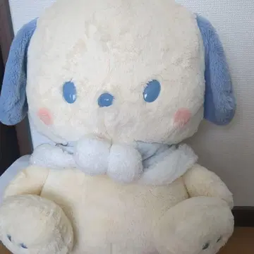 시나모롤, 포차코