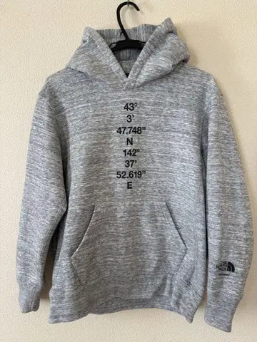 THE NORTH FACE 경도위도 홋카이도 토마무 그레이 후드티