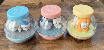 치이카와 카프세리움 전종 컴프 세트