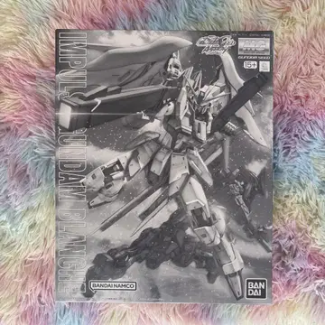 MG 1/100 임펄스 건담 블랑슈