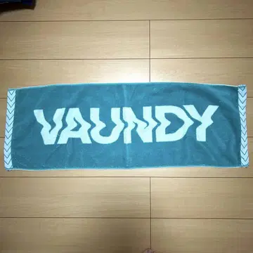 Vaundy 바운디 타월 라이브 굿즈