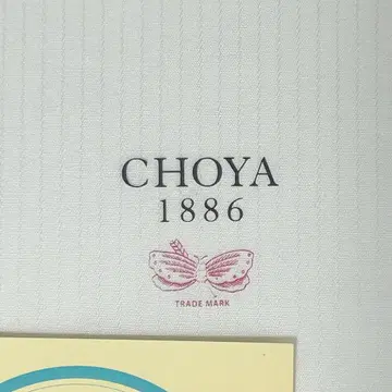 타카시마야 와이셔츠 맞춤권 [박스 포함]