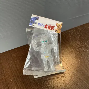 제트 재규어 말가챠 말산 그2