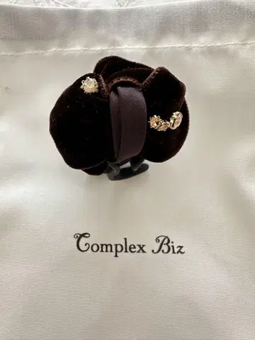 Complex Biz 브라운 헤어 클립 미사용 새상품