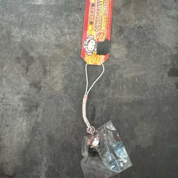 지역 한정 키티 이와테 한정 완코소바 버전