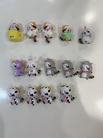 코스 라스칼 마그넷 12개