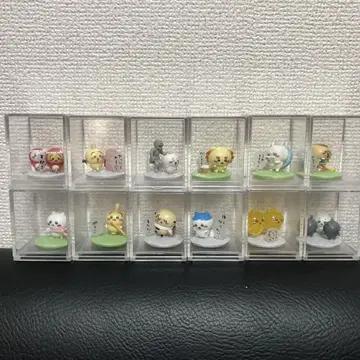 치이카와 (먼작귀) 초코 묶음 판매