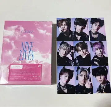 초특급 NINE LIVES 완전 생산 한정판