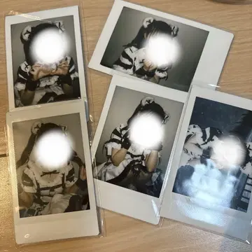 코이보시 하루카 란 폴라로이드 기루기루
