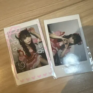 논픽션 코이호시 하루카 란체키