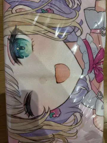 후드 부착 빅 타월 호두의 gigo 브이스포! 타월