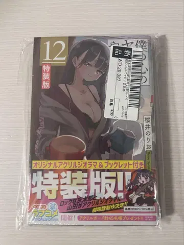 나의 히어로 아카데미아 12권 특장판 스루가야 특전 포함