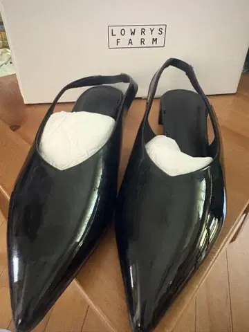 포인티드 뮬