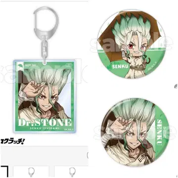 이시가미 센쿠 캔뱃지 Dr.STONE 스크래치 E상 C상
