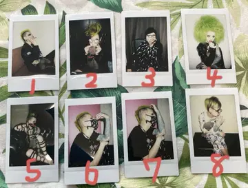 MEJIBRAY 메토 폴라로이드