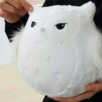 미사용 새상품 한국 드라마 [ 보이프렌드 ] 올빼미 봉제 인형