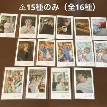 우라시마사카타센 우라타누키 미니 포토 카드 vol.3 15장 세트