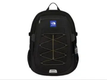 TNF x Aime Leon Dore Borealis Backpack